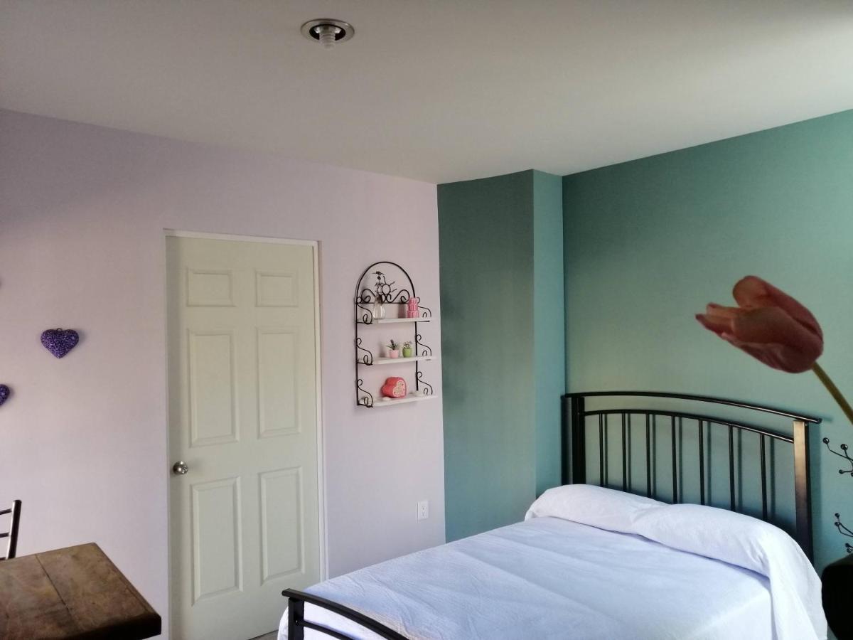 Apartmán Casa Nikte Zacatecas Exteriér fotografie